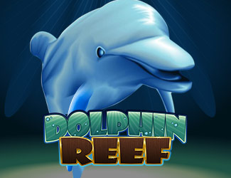 ninegames_dolphin_reef 澳门银河娱乐APP入口娱乐海豚乐园